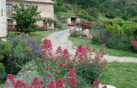 G&icirc;te n&deg;G11339 Champtercier - Alpes-de-Haute-Provence - photo