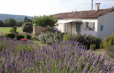 Gîte n°G14373 Saint-Michel-l'Observatoire - Alpes-de-Haute-Provence - photo