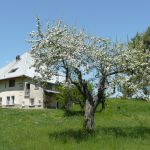 chambre-d-hotes - La Haute-Combe - SAINT-VINCENT-LES-FORTS - Alpes-de-Haute-Provence