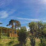camping-classe - Camping Le Lavandin - ESPARRON DE VERDON - Alpes-de-Haute-Provence