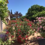 gite - Les Tilleuls - SAINTE-CROIX-DU-VERDON - Alpes-de-Haute-Provence