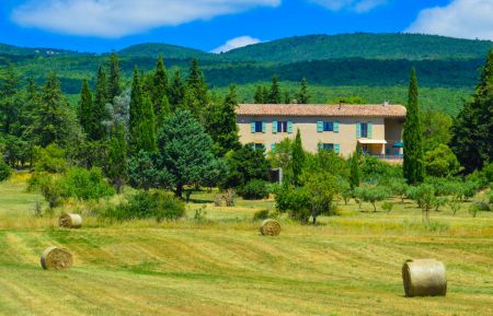 G&icirc;te n&deg;G14452 Cruis - Alpes-de-Haute-Provence - La Bastide du Claus au moment des foins