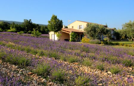 G&icirc;te n&deg;G14357 Cruis - Alpes-de-Haute-Provence - Le Mas Saint-Pierre