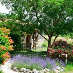 gite - Le Chandernagor - ASPREMONT - Hautes-Alpes