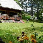Le jardin