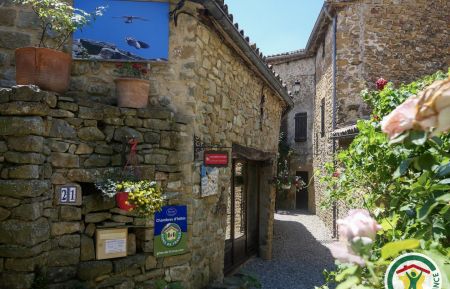 Chambre d'h&ocirc;tes n&deg;1615 Saint-Andr&eacute;-de-Rosans - Hautes-Alpes - photo