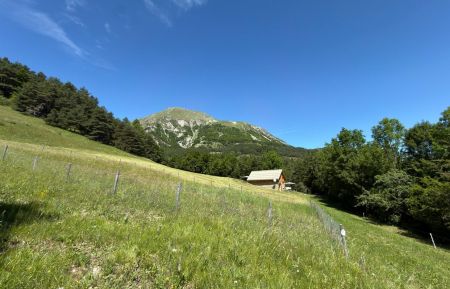 Chalet d'alpage5960 Le Noyer - Hautes-Alpes - photo