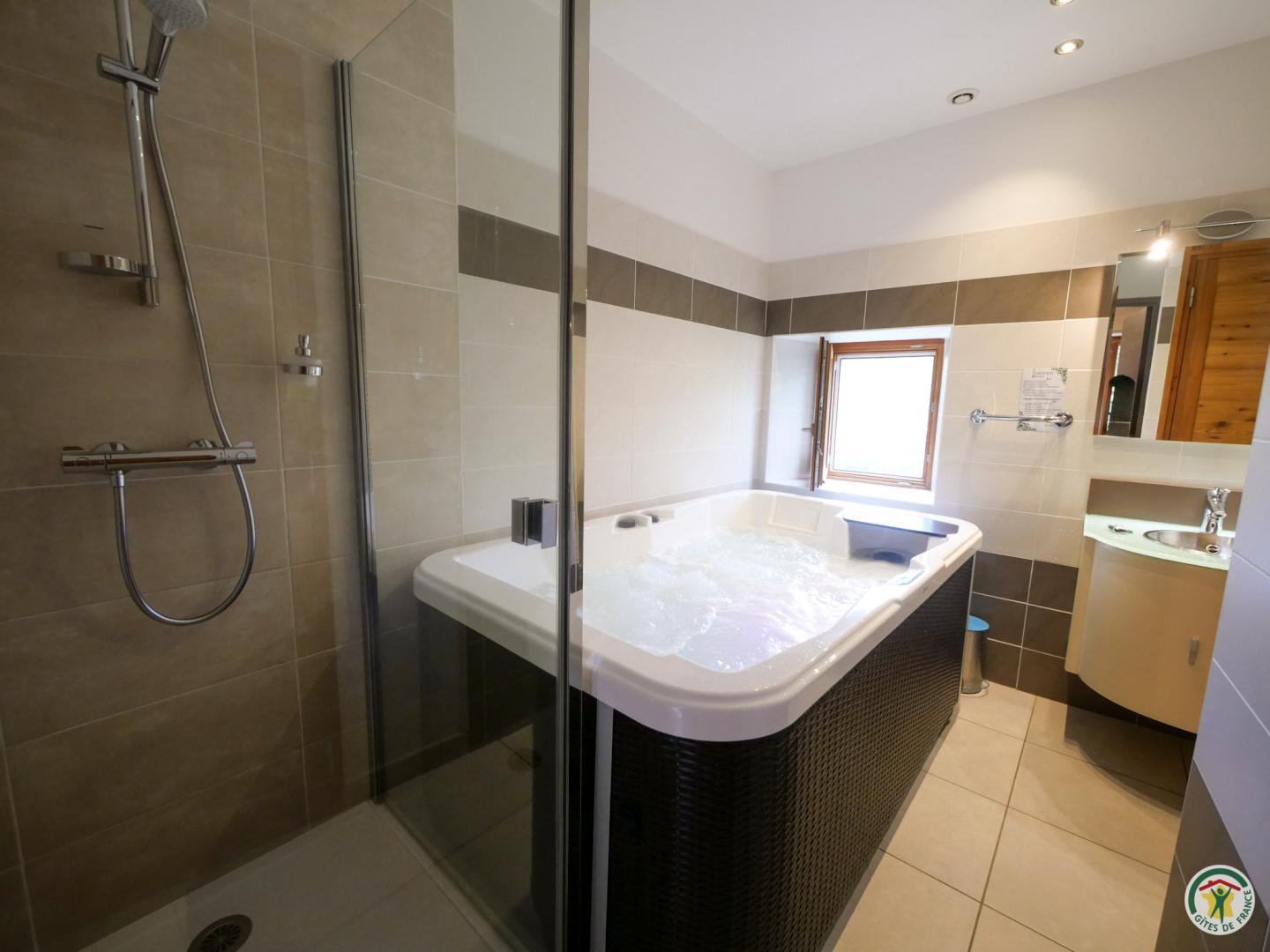 Salle d'eau avec douche à l'italienne et spa privatif photo 4