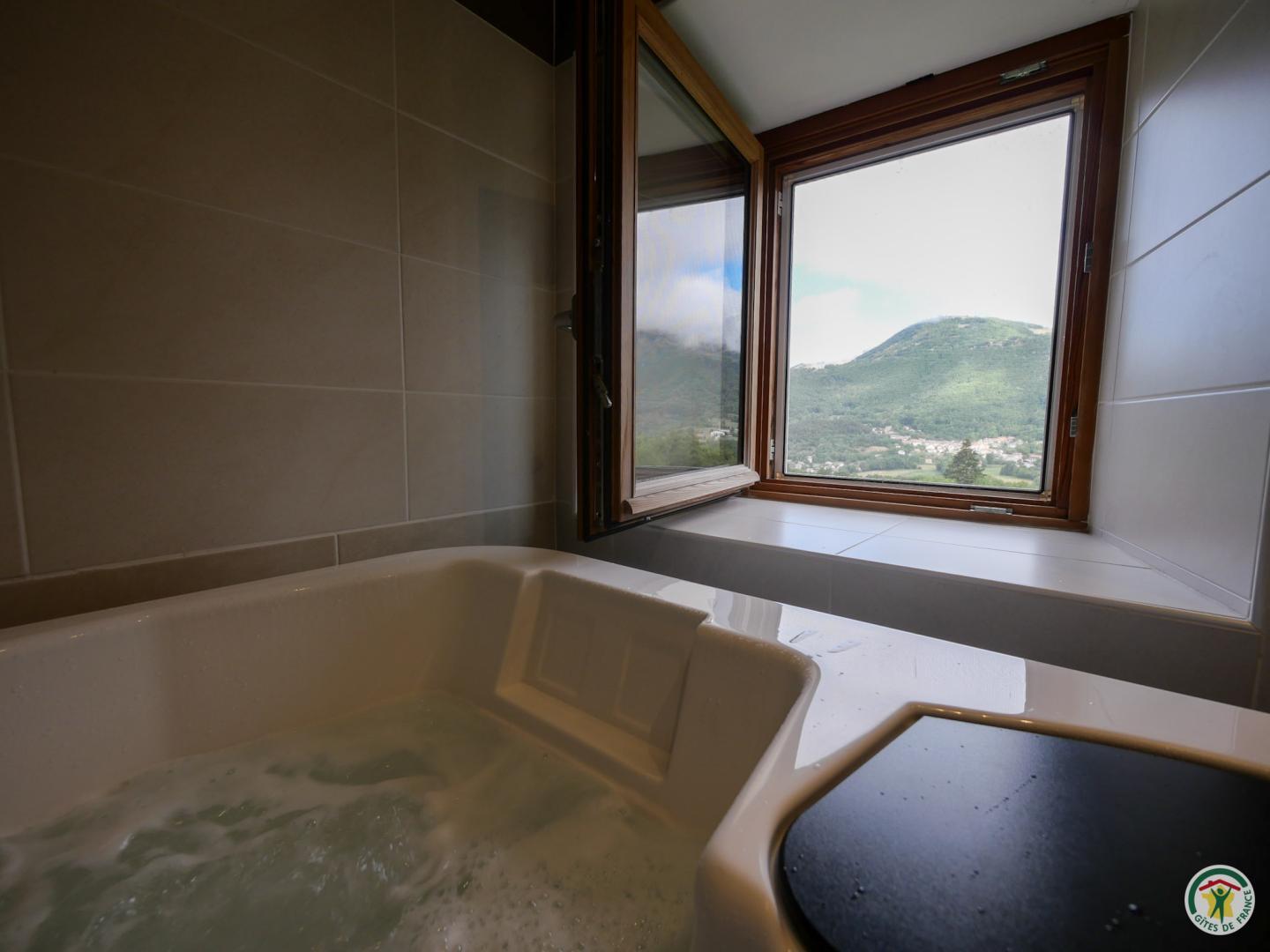 spa privatif avec vue sur les montagnes photo 8