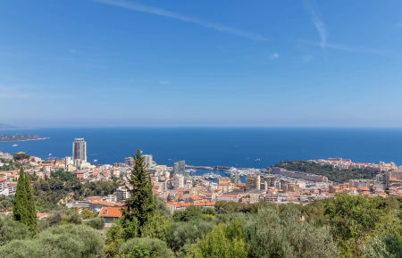 G&icirc;te n&deg;7367 Beausoleil - Alpes-Maritimes - L'Olivier-Vue-Beausoleil-G&icirc;tes de France des Alpes-Maritimes