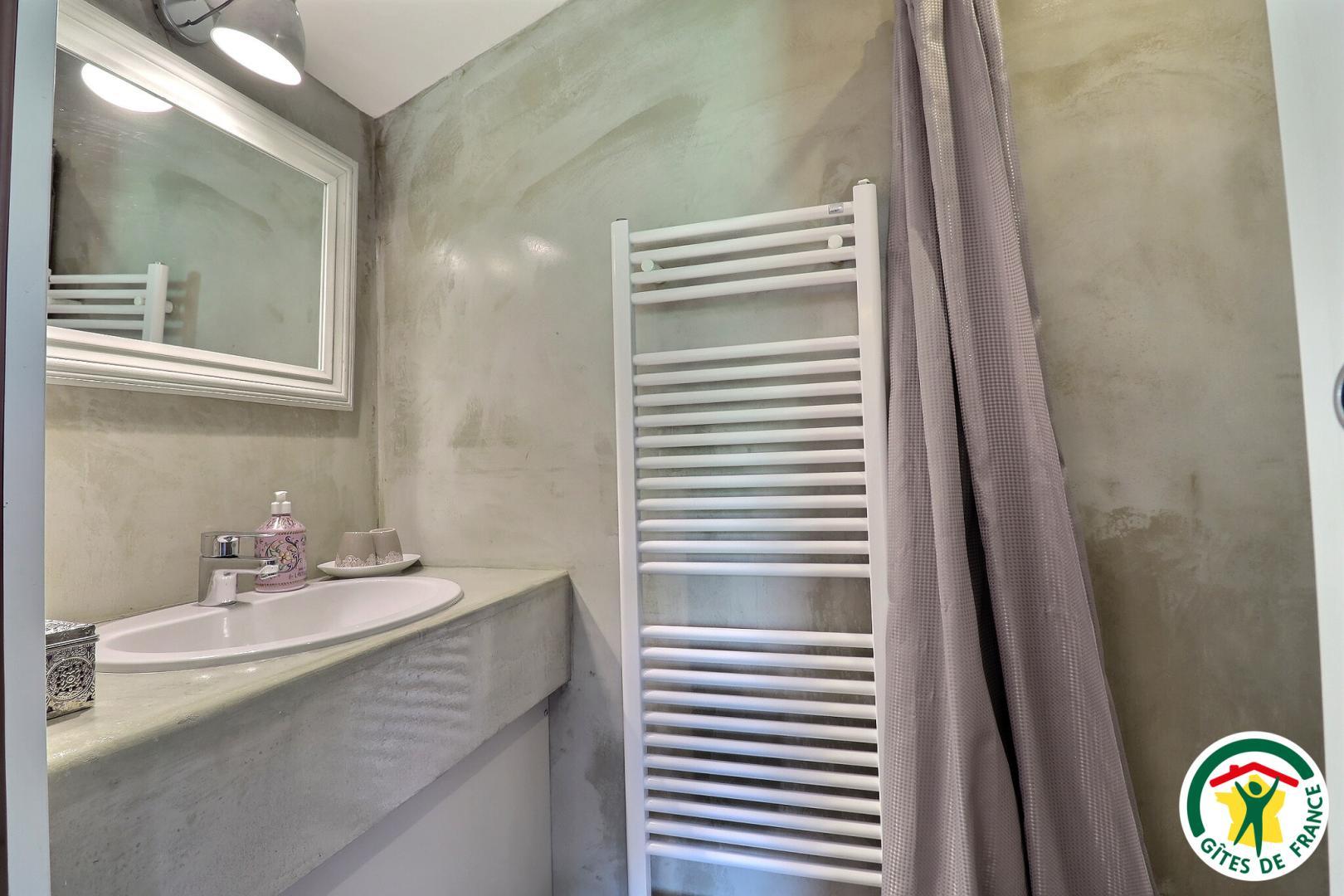Salle d'eau de la chambre INDE avec douche italienne, lavabo et sèche-serviettes photo 38