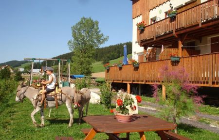 G&icirc;te n&deg;225100 Autrans-M&eacute;audre en Vercors - Is&egrave;re - photo
