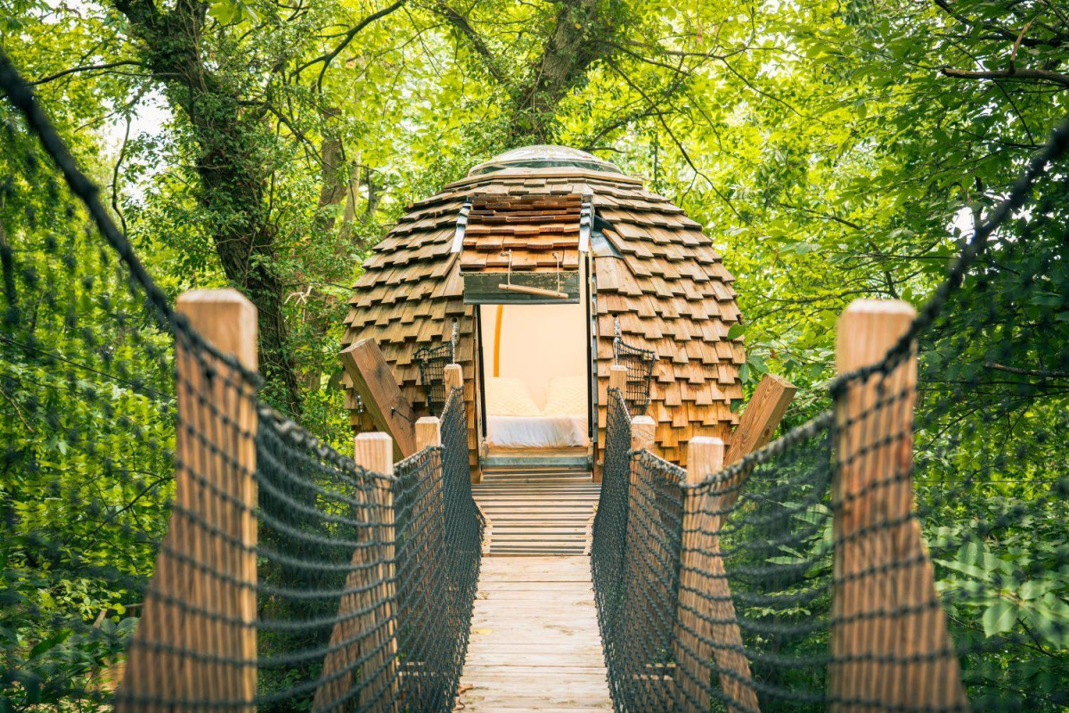 photo 66