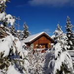 gite - Erable - MERIBEL LES ALLUES - Savoie