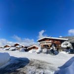 gite - Les Georgieres - NOTRE DAME DE BELLECOMBE - Savoie