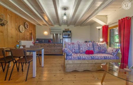 G&icirc;te n&deg;73G317147 Villard-sur-Doron - Savoie - photo