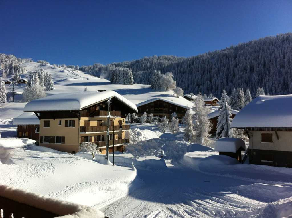 photo 0