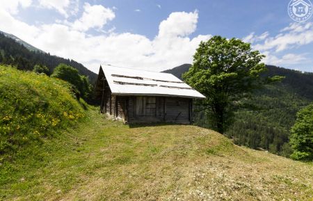 Chalet d'alpage73G34554 Beaufort - Savoie - photo