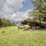 Chalet d'alpage - La Savonnette - SAINTE FOY TARENTAISE - Savoie