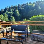 Terrasse avec vue sur les Arcs,expos&eacute;e plein sud en lisi&egrave;re de for&ecirc;t