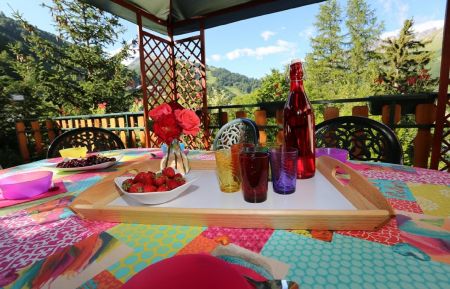 Gîte n°73G306237 Valloire - Savoie - photo