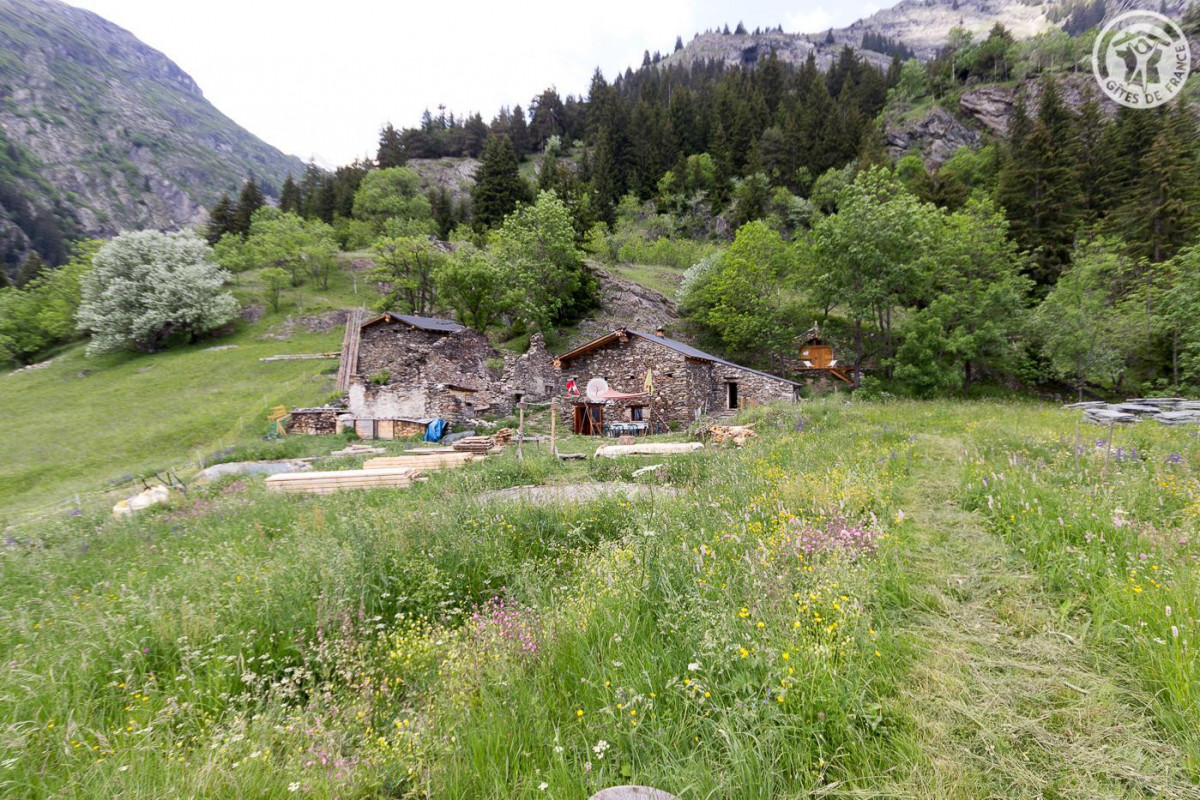 photo 35