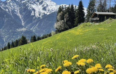 G&icirc;te n&deg;73G317141 Villard-sur-Doron - Savoie - photo