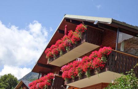G&icirc;te n&deg;1008 Abondance - Haute-Savoie - photo
