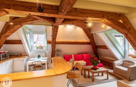 G&icirc;te n&deg;267016 Sevrier - Haute-Savoie - Pi&egrave;ce principale du g&icirc;te