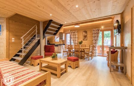 G&icirc;te n&deg;63059 Ch&acirc;tel - Haute-Savoie - photo
