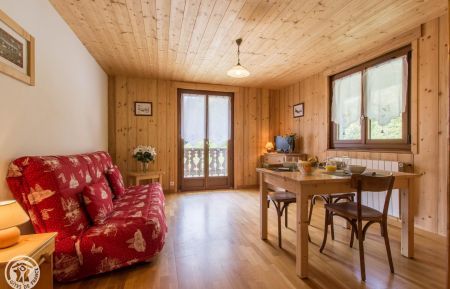 Gîte n°191079 Morzine - Haute-Savoie - photo