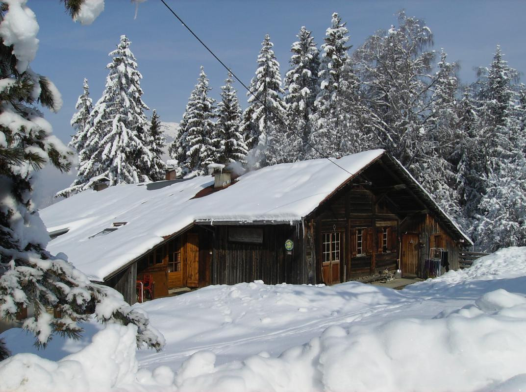 photo 0