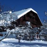 gite - Gentiane Jaune - SAMOENS - Haute-Savoie